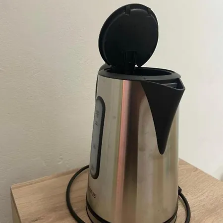 公寓 Unirii Square 蒂米什瓦拉