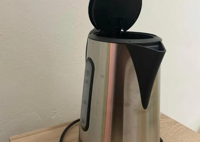 公寓 Unirii Square 蒂米什瓦拉