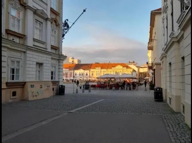 Unirii Square شقة تيميشورا