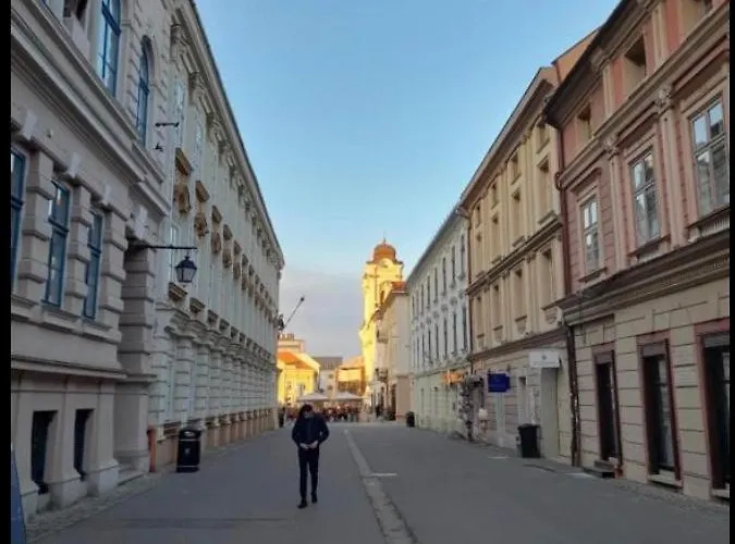 Unirii Square Lägenhet *